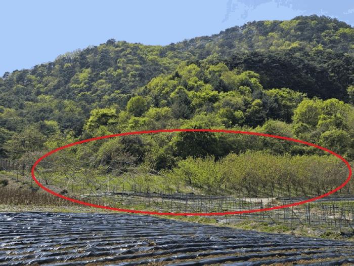 법원경매 2025타경585 사진5 | 정선군 신동읍 고성리 341-1 전 경매