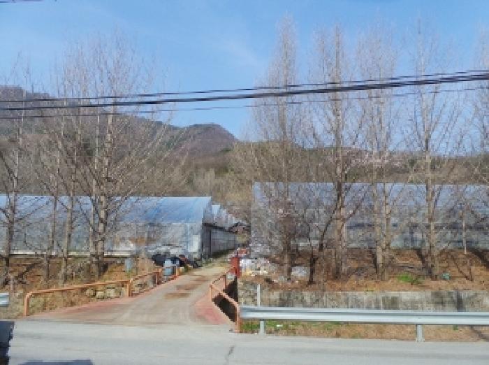 법원경매 2025타경585 사진56 | 정선군 신동읍 고성리 341-1 전 경매