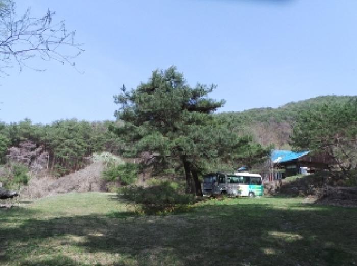 법원경매 2025타경585 사진64 | 정선군 신동읍 고성리 341-1 전 경매