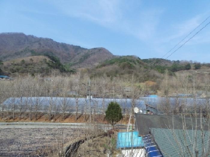 법원경매 2025타경585 사진53 | 정선군 신동읍 전 경매