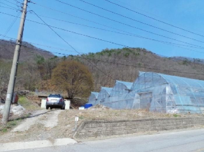 법원경매 2025타경585 사진69 | 정선군 신동읍 전 경매