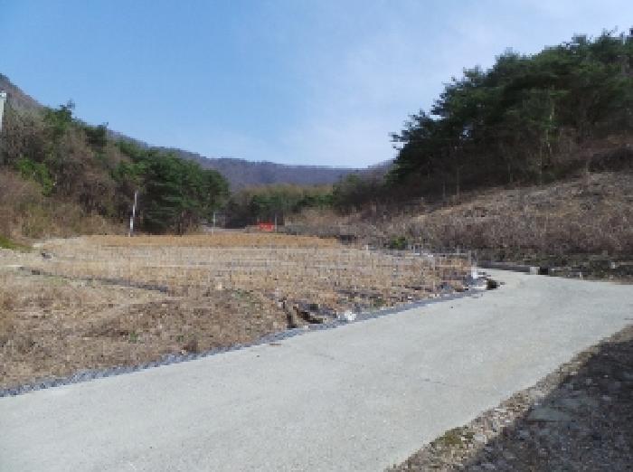 법원경매 2025타경585 사진75 | 정선군 신동읍 전 경매