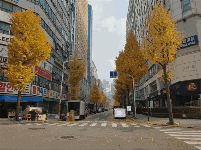 2025타경4799 법원경매 사진5 | 부천 원미구 오피스텔 경매