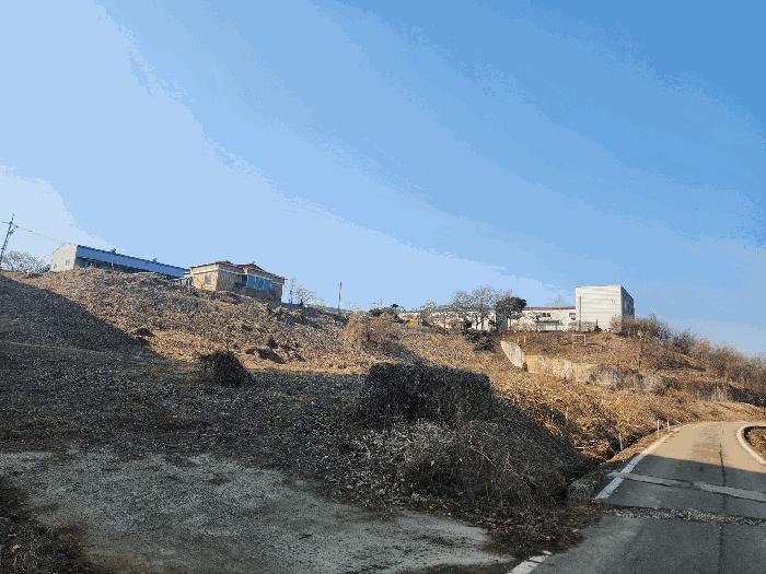 법원경매 2025타경41331 사진2 | 평택시 안중읍 금곡리 431-2 전 경매