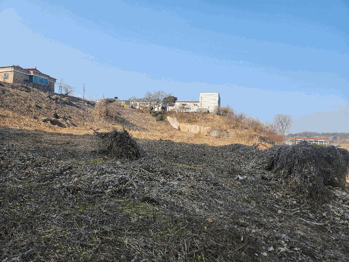 법원경매 2025타경41331 사진4 | 평택시 안중읍 금곡리 431-2 전 경매
