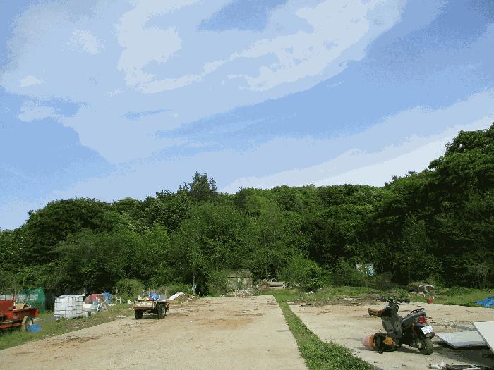 법원경매 2025타경41648 사진2 | 평택시 지산동 임야 경매