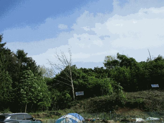 법원경매 2025타경41648 사진4 | 평택시 지산동 임야 경매