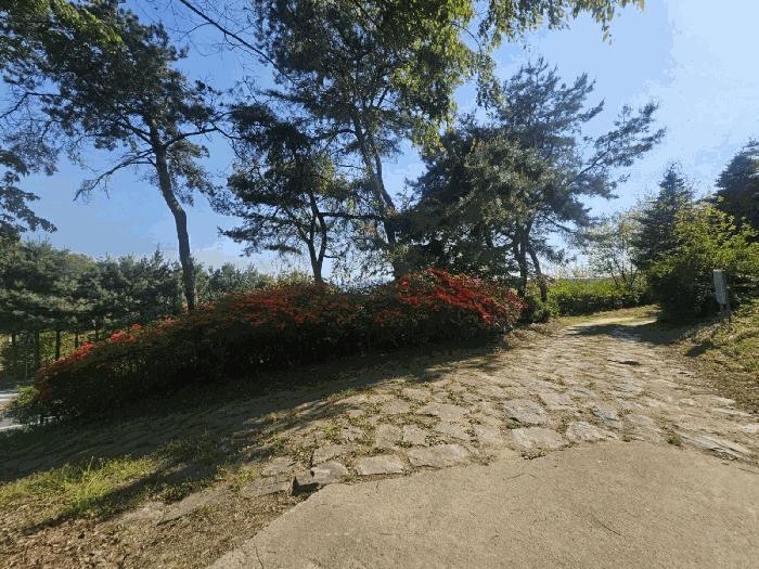 법원경매 2025타경41748 사진6 | 안성시 일죽면 고은리 임야 경매
