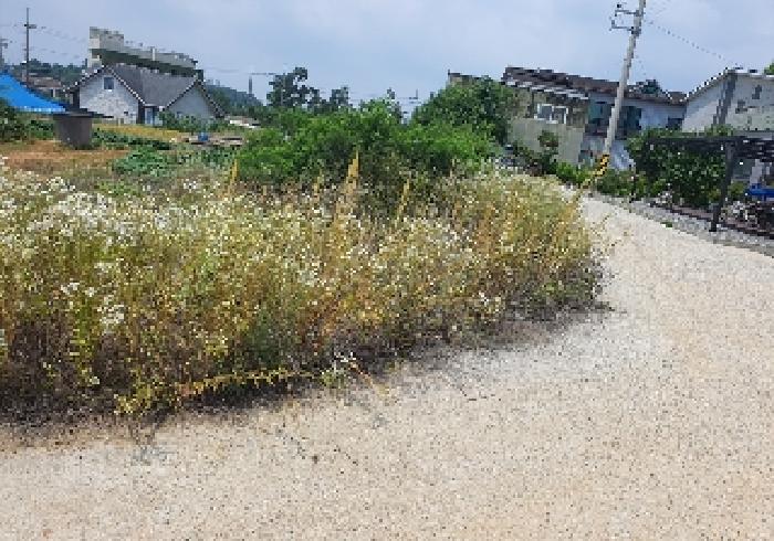 2025타경41908 법원경매 사진13 | 경기 평택시 임야 경매