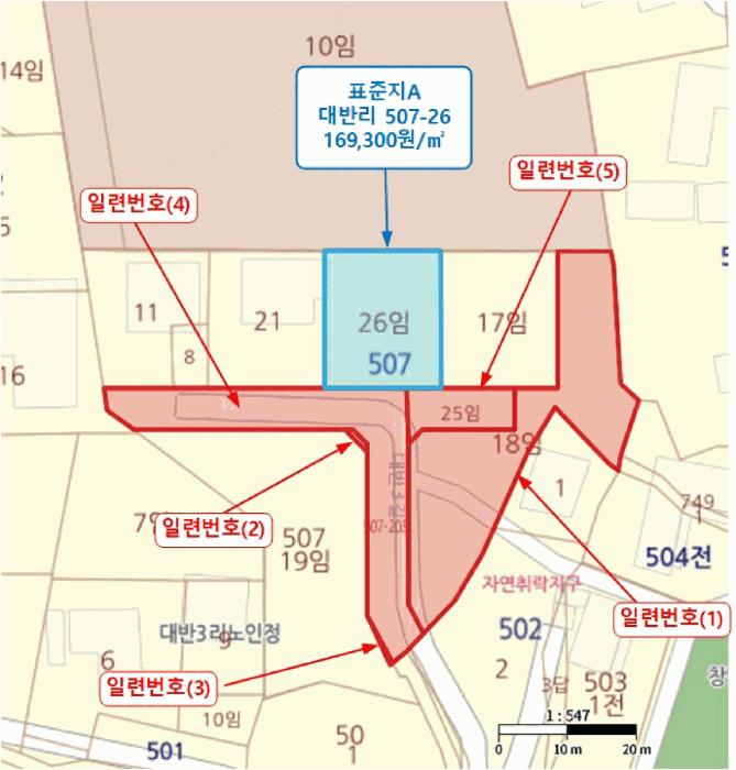 2025타경41908 법원경매 사진16 | 경기 평택시 임야 경매