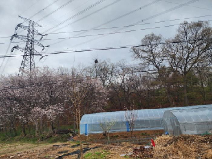 법원경매 2025타경55397 사진9 | 화성시 매송면 임야 경매