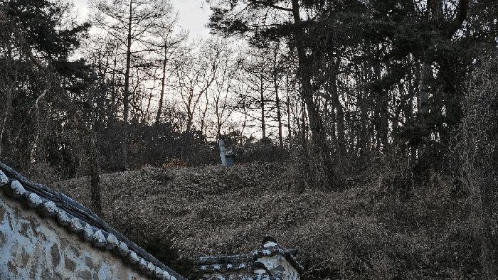 2024타경64327 법원경매 사진3 | 청주 상당구 임야 경매