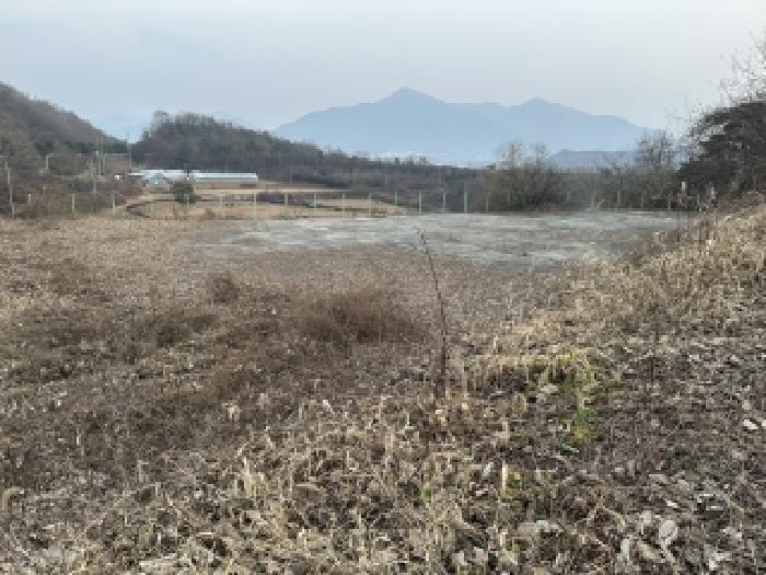 2025타경5332 법원경매 사진13 | 충북 괴산군 기타 경매