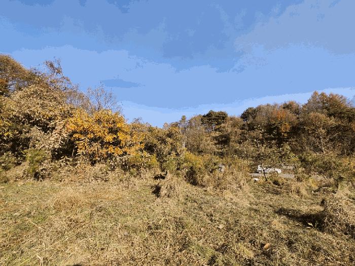 2025타경5332 법원경매 사진16 | 충북 괴산군 기타 경매