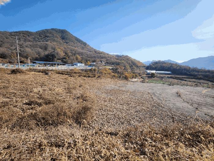 2025타경5332 법원경매 사진3 | 충북 괴산군 기타 경매