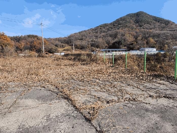 2025타경5332 법원경매 사진5 | 충북 괴산군 기타 경매