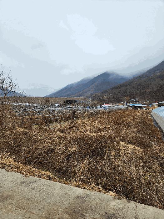 2025타경52147 법원경매 사진4 | 충북 괴산군 답 경매