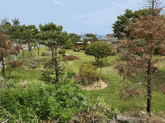 법원경매 2025타경11010 사진16 | 구미시 해평면 오상리 390 주택건물 경매