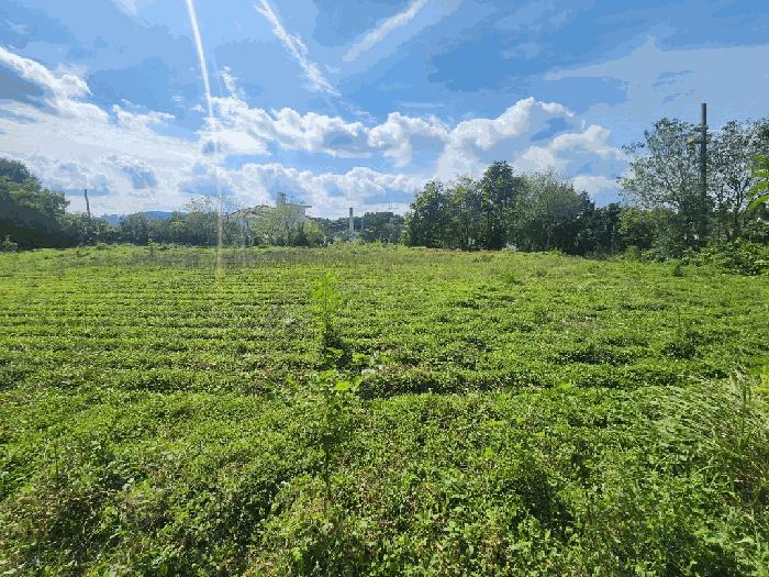 2025타경1164 법원경매 사진3 | 충남 홍성군 대지,임야,전답 경매
