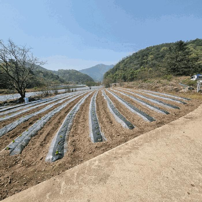 경상북도 문경시 농암면 연천리 413-1 법원경매 물건 대표사진