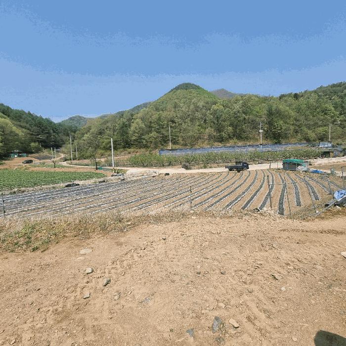 법원경매 2025타경158 사진5 | 문경시 농암면 연천리 413-1 주택건물 경매