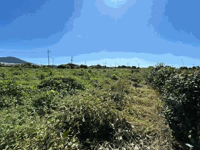 2025타경1732 법원경매 사진2 | 제주 제주시 임야 경매