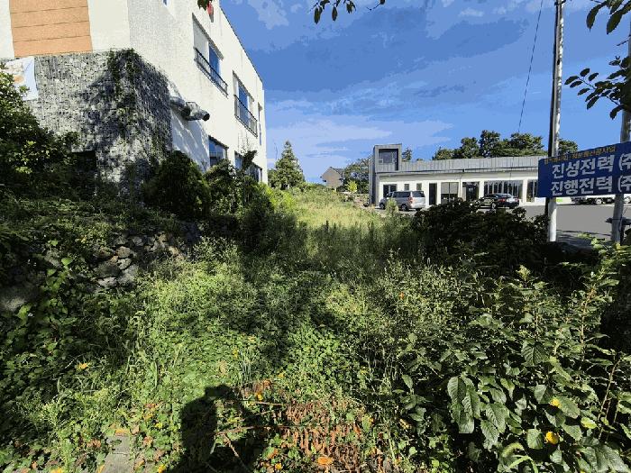 2025타경1768 법원경매 사진3 | 제주 서귀포시 과수원 경매
