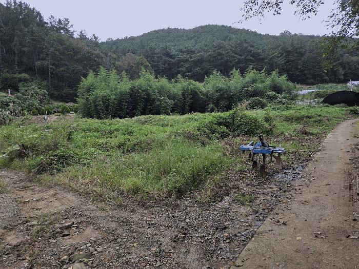 2025타경2948 법원경매 사진2 | 경북 고령군 대지 경매
