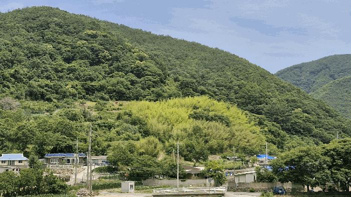 2025타경10523 법원경매 사진2 | 경북 경주시 전 경매