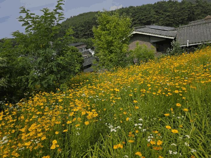 법원경매 2025타경31322 사진10 | 대구 달성군 하빈면 묘리 777 대지 경매