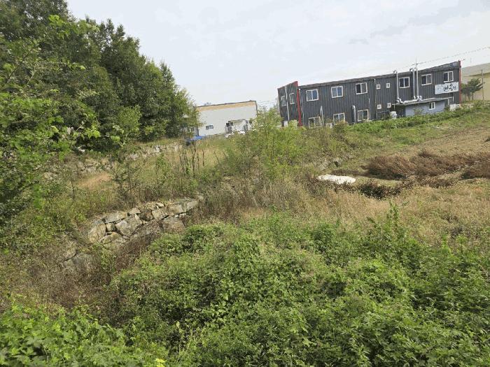 법원경매 2025타경31934 사진3 | 대구 달성군 구지면 화산리 168 답 경매