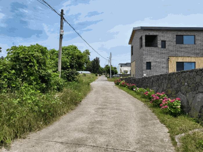 2025타경8166 법원경매 사진3 | 제주 서귀포시 과수원 경매