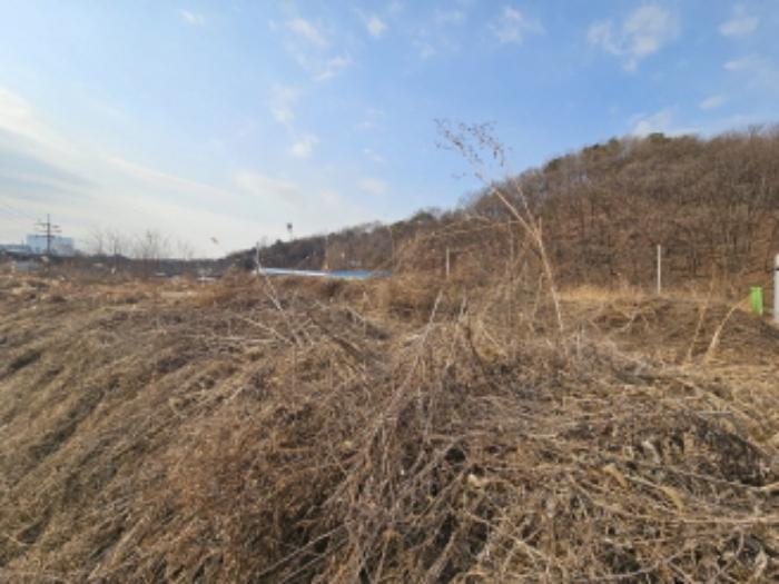 법원경매 2024타경13356 사진6 | 용인시 처인구 남사읍 북리 435-4 답 경매