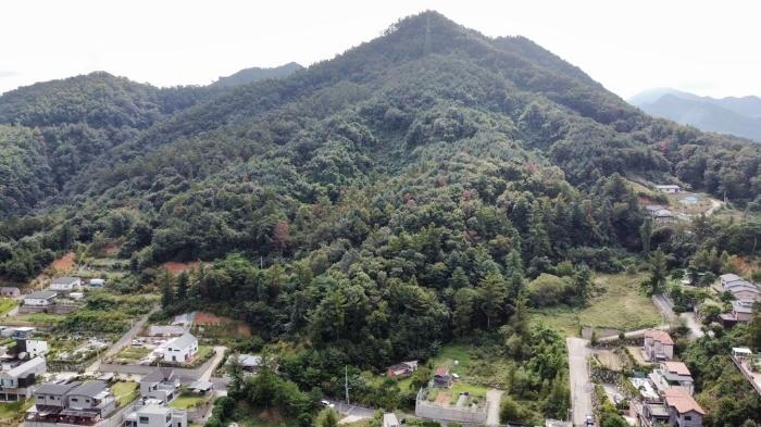 경기도 양평군 서종면 도장리 산51-13 법원경매 물건 대표사진