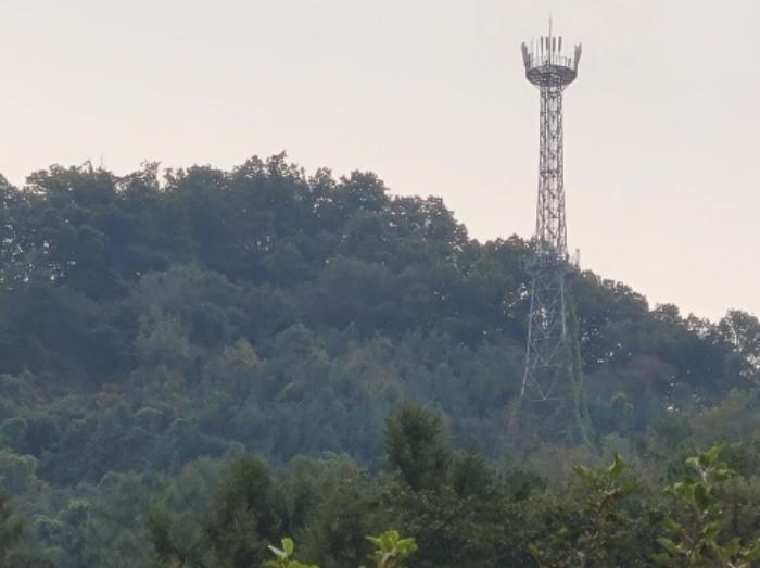 법원경매 2024타경5535 사진5 | 양평군 서종면 도장리 임야 경매