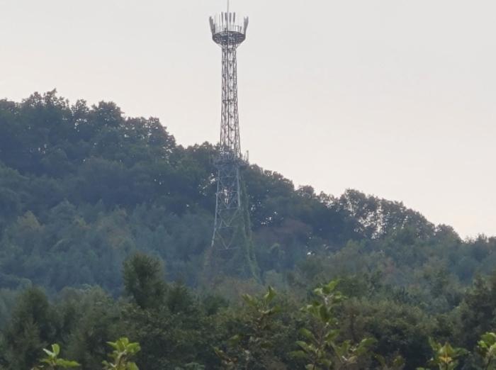 법원경매 2024타경5535 사진6 | 양평군 서종면 도장리 임야 경매