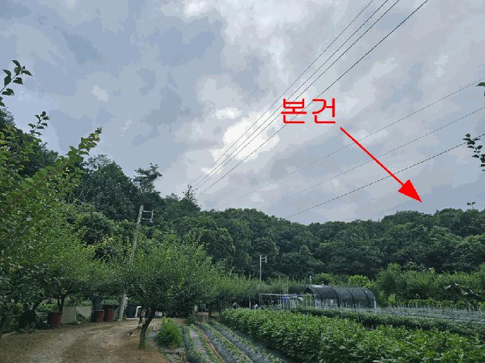 법원경매 2025타경10530 사진4 | 서울 구로구 궁동 임야 경매