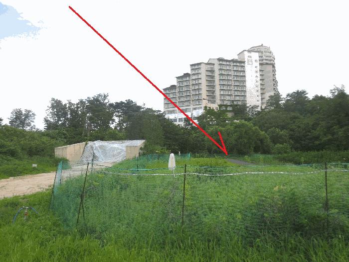 법원경매 2025타경271 사진2 | 고성군 토성면 원암리 388 답 경매