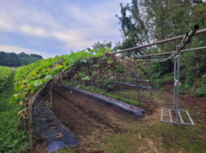 법원경매 2024타경6811 사진5 | 이천시 설성면 행죽리 411-1 답 경매