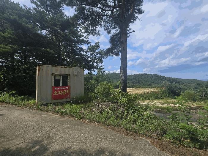 법원경매 2025타경275 사진6 | 양양군 손양면 상왕도리 임야 경매