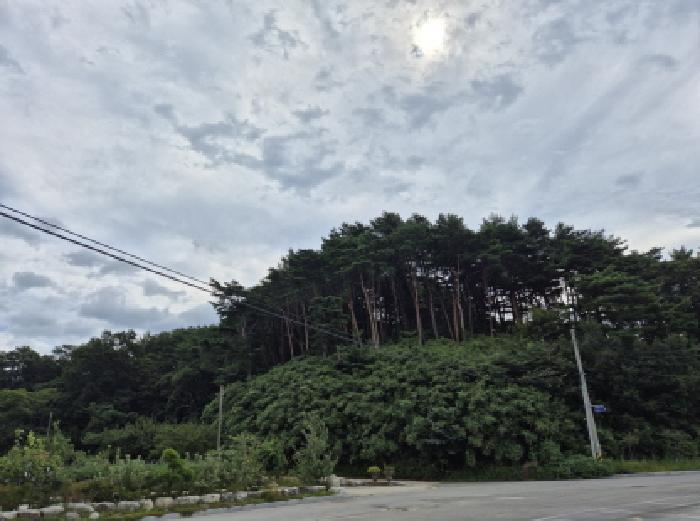 법원경매 2025타경277 사진11 | 고성군 거진읍 화포리 임야 경매