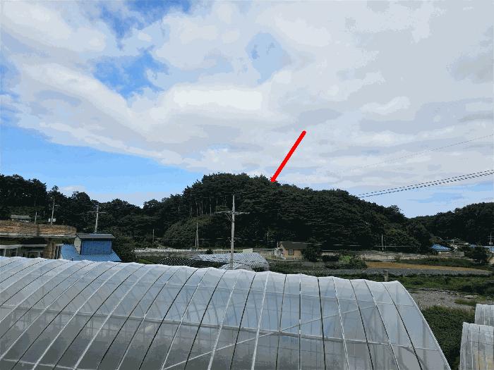 법원경매 2025타경277 사진4 | 고성군 거진읍 화포리 임야 경매