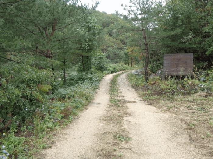 법원경매 2025타경289 사진11 | 고성군 죽왕면 야촌리 임야 경매