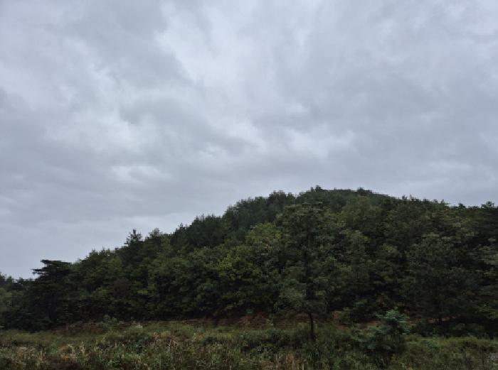 법원경매 2025타경289 사진12 | 고성군 죽왕면 야촌리 임야 경매
