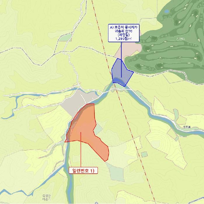 법원경매 2025타경289 사진16 | 고성군 죽왕면 야촌리 임야 경매