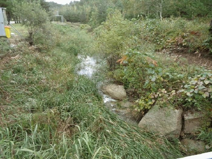 법원경매 2025타경289 사진3 | 고성군 죽왕면 야촌리 임야 경매