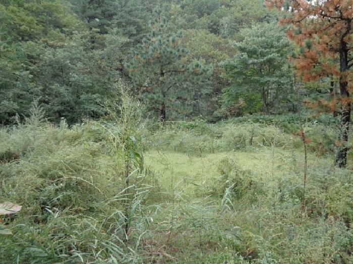 법원경매 2025타경289 사진4 | 고성군 죽왕면 야촌리 임야 경매