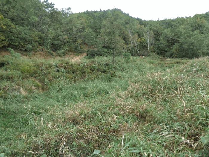 법원경매 2025타경289 사진7 | 고성군 죽왕면 야촌리 임야 경매
