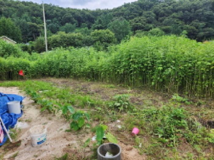 법원경매 2025타경3473 사진9 | 동두천시 광암동 208 대지,임야,전답 경매