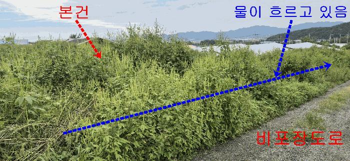 법원경매 2025타경4025 사진8 | 철원군 동송읍 오지리 1105-7 전 경매